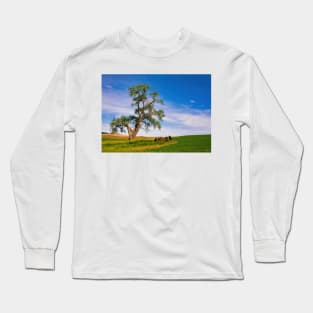 Lone Tree in the Palouse Long Sleeve T-Shirt